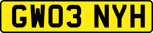 GW03NYH