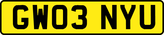 GW03NYU