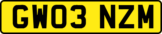 GW03NZM