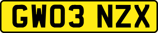GW03NZX
