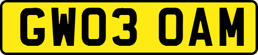 GW03OAM