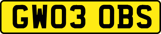 GW03OBS