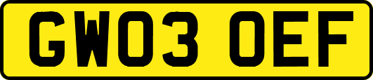 GW03OEF