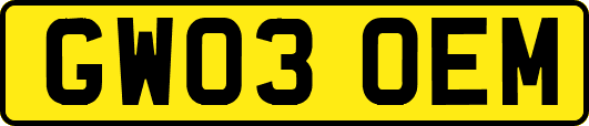 GW03OEM
