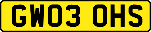 GW03OHS