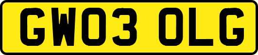 GW03OLG