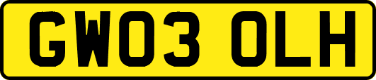 GW03OLH