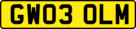 GW03OLM