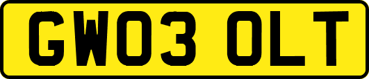 GW03OLT