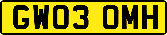 GW03OMH