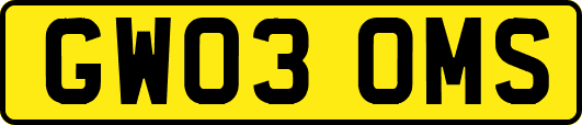 GW03OMS