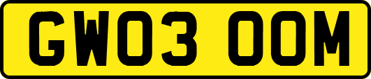 GW03OOM