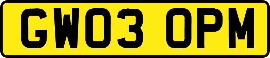 GW03OPM