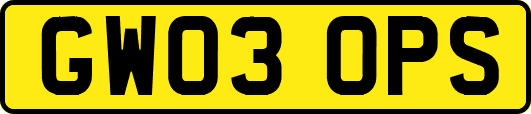 GW03OPS