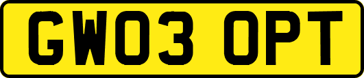 GW03OPT