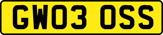 GW03OSS