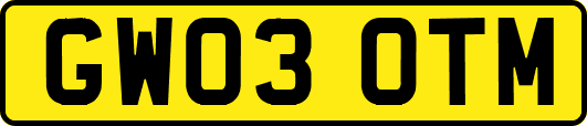 GW03OTM