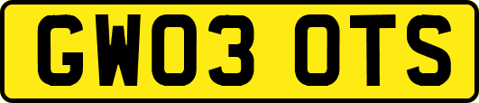 GW03OTS