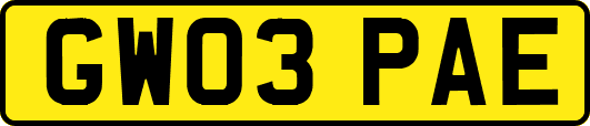 GW03PAE
