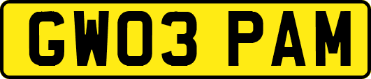 GW03PAM