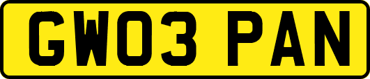 GW03PAN