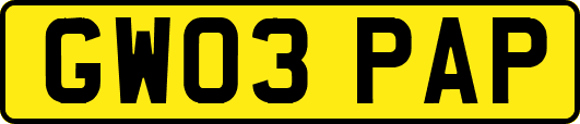 GW03PAP