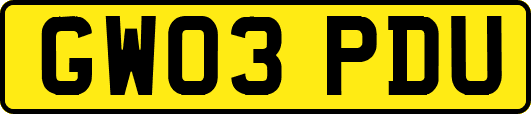 GW03PDU