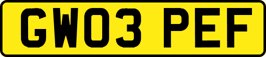 GW03PEF