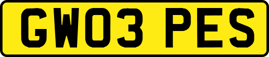 GW03PES