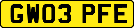 GW03PFE