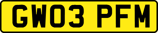 GW03PFM