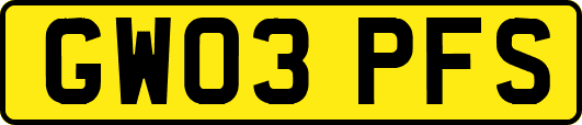 GW03PFS