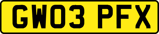 GW03PFX