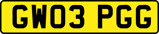 GW03PGG