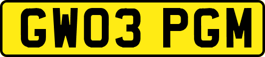 GW03PGM