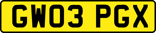 GW03PGX
