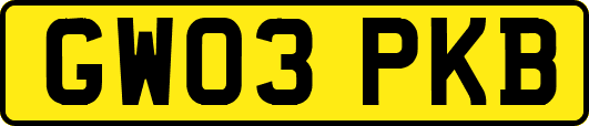 GW03PKB