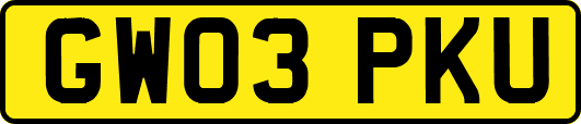 GW03PKU