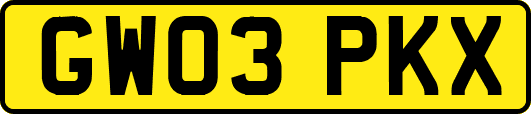 GW03PKX