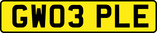 GW03PLE