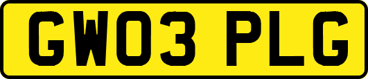 GW03PLG