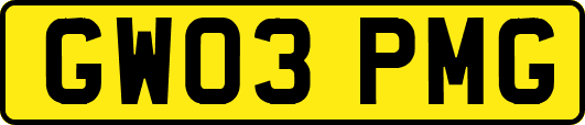 GW03PMG