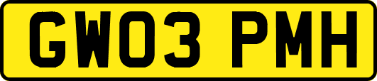 GW03PMH