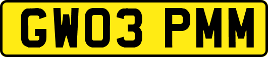 GW03PMM