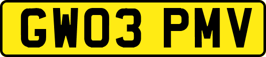 GW03PMV