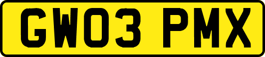 GW03PMX