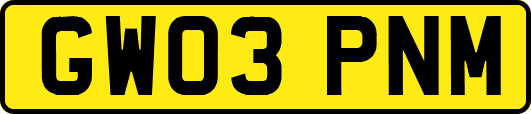 GW03PNM