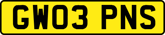 GW03PNS