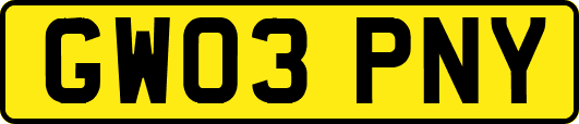 GW03PNY