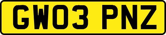 GW03PNZ